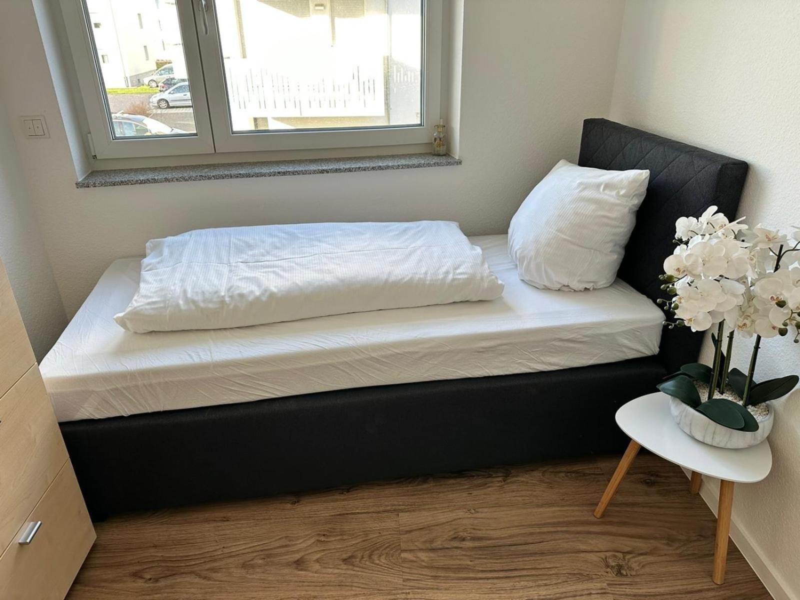 Апартаменты Grosse Cozy 4-Zi-Whg Mit Balkon Naehe Europa Park Und Rulantica Лар Экстерьер фото